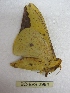  ( - BC-EvS 2984)  @12 [ ] Copyright (2012) Eric van Schayck Research Collection of Eric Van Schayck