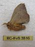  ( - BC-EvS 3816)  @12 [ ] No Rights Reserved (2014) Eric van Schayck Unspecified