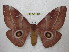  ( - BC-EvS 1533)  @14 [ ] Copyright (2010) Eric Van Schayck Research Collection of Eric Van Schayck