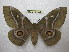  ( - BC-EvS 1535)  @14 [ ] Copyright (2010) Eric Van Schayck Research Collection of Eric Van Schayck