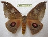  ( - BC-EvS 2393)  @11 [ ] Copyright (2010) Eric Van Schayck Research Collection of Eric Van Schayck