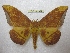  ( - BC-EvS 2394)  @14 [ ] Copyright (2010) Eric Van Schayck Research Collection of Eric Van Schayck