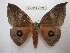  ( - BC-EvS 2401)  @14 [ ] Copyright (2010) Eric Van Schayck Research Collection of Eric Van Schayck