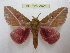  ( - BC-EvS 2421)  @14 [ ] Copyright (2010) Eric Van Schayck Research Collection of Eric Van Schayck