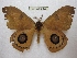  ( - BC-EvS 2423)  @11 [ ] Copyright (2010) Eric Van Schayck Research Collection of Eric Van Schayck