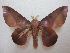  ( - BC-EvS 2456)  @14 [ ] Copyright (2010) Eric Van Schayck Research Collection of Eric Van Schayck