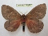  ( - BC-EvS 2460)  @14 [ ] Copyright (2010) Eric Van Schayck Research Collection of Eric Van Schayck