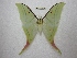  ( - BC-EvS 2472)  @14 [ ] Copyright (2012) Eric van Schayck Unspecified