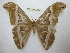  ( - BC-EvS 2477)  @13 [ ] Copyright (2012) Eric van Schayck Unspecified