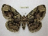  ( - BC-EvS 2500)  @14 [ ] Copyright (2012) Eric van Schayck Unspecified