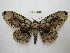  ( - BC-EvS 2502)  @14 [ ] Copyright (2012) Eric van Schayck Unspecified