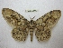  ( - BC-EvS 2504)  @14 [ ] Copyright (2012) Eric van Schayck Unspecified