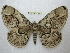  ( - BC-EvS 2507)  @14 [ ] Copyright (2012) Eric van Schayck Unspecified