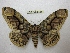 ( - BC-EvS 2511)  @14 [ ] Copyright (2012) Eric van Schayck Unspecified
