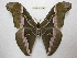  ( - BC-EvS 2540)  @15 [ ] Copyright (2012) Eric van Schayck Unspecified