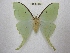  ( - BC-EvS 3124)  @14 [ ] Copyright (2012) Eric van Schayck Unspecified
