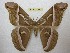  ( - BC-EvS 3691)  @13 [ ] © (2016) Eric van Schayck Unspecified