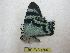  ( - BC-EvS 4390)  @11 [ ] No Rights Reserved (2015) Eric van Schayck Unspecified
