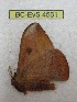  ( - BC-EvS 4561)  @13 [ ] © (2016) Eric van Schayck Unspecified