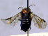  ( - CCDB-21342-A02)  @13 [ ] CreativeCommons - Attribution (2012) CBG Photography Group Pacific Forestry Centre