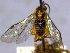  ( - CCDB-21342-A03)  @13 [ ] CreativeCommons - Attribution (2012) CBG Photography Group Pacific Forestry Centre