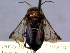  ( - CCDB-21342-B02)  @12 [ ] CreativeCommons - Attribution (2012) CBG Photography Group Pacific Forestry Centre
