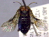  ( - CCDB-21342-D02)  @12 [ ] CreativeCommons - Attribution (2012) CBG Photography Group Pacific Forestry Centre