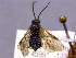  ( - CCDB-21342-D03)  @12 [ ] CreativeCommons - Attribution (2012) CBG Photography Group Pacific Forestry Centre
