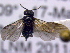  ( - CCDB-21342-G03)  @12 [ ] CreativeCommons - Attribution (2012) CBG Photography Group Pacific Forestry Centre