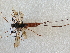  ( - CCDB-21342-D11)  @13 [ ] CreativeCommons - Attribution (2012) CBG Photography Group Pacific Forestry Centre