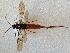  ( - CCDB-21342-E11)  @13 [ ] CreativeCommons - Attribution (2012) CBG Photography Group Pacific Forestry Centre