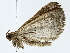  ( - BIOUG85244-G12)  @11 [ ] CreativeCommons - Attribution (2022) CBG Photography Group Centre for Biodiversity Genomics