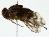  ( - BIOUG85244-H06)  @11 [ ] CreativeCommons - Attribution (2022) CBG Photography Group Centre for Biodiversity Genomics