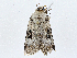  ( - CBG-A01227-A08)  @11 [ ] CreativeCommons - Attribution (2023) CBG Photography Group Centre for Biodiversity Genomics
