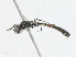  ( - CBG-A02848-C01)  @11 [ ] CreativeCommons - Attribution (2023) CBG Photography Group Centre for Biodiversity Genomics