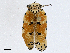  ( - CBG-A02878-F03)  @11 [ ] CreativeCommons - Attribution (2023) CBG Photography Group Centre for Biodiversity Genomics