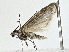 ( - BIOUG80114-F02)  @11 [ ] CreativeCommons - Attribution (2022) CBG Photography Group Centre for Biodiversity Genomics