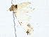  ( - BIOUG97792-E08)  @11 [ ] CreativeCommons - Attribution (2023) CBG Photography Group Centre for Biodiversity Genomics