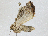  ( - CBG-A01162-D07)  @11 [ ] CreativeCommons - Attribution (2023) CBG Photography Group Centre for Biodiversity Genomics