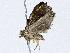  ( - CBG-A04435-C09)  @11 [ ] CreativeCommons - Attribution (2023) CBG Photography Group Centre for Biodiversity Genomics