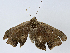  ( - CBG-A04436-A12)  @11 [ ] CreativeCommons - Attribution (2023) CBG Photography Group Centre for Biodiversity Genomics