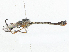  ( - CBG-A04456-B02)  @11 [ ] CreativeCommons - Attribution (2023) CBG Photography Group Centre for Biodiversity Genomics
