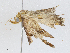  ( - CBG-A04512-D04)  @11 [ ] CreativeCommons - Attribution (2023) CBG Photography Group Centre for Biodiversity Genomics