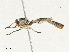  ( - CBG-A04533-H06)  @11 [ ] CreativeCommons - Attribution (2023) CBG Photography Group Centre for Biodiversity Genomics