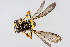  ( - SBCTA2022JUL11a)  @11 [ ] by-nc-nd (2024) Elijah Goodwin Stone Barns Center