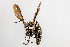  ( - SBCTA2022JUN6c)  @11 [ ] by-nc-nd (2024) Elijah Goodwin Stone Barns Center