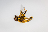  ( - SBCTA2022Jul26B)  @11 [ ] by-nc-nd (2024) Elijah Goodwin Stone Barns Center