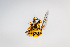  ( - SBCTA2022Jul26B)  @11 [ ] by-nc-nd (2024) Elijah Goodwin Stone Barns Center