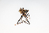  ( - SBCTA2022Jul26H)  @11 [ ] by-nc-nd (2024) Elijah Goodwin Stone Barns Center