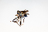  ( - SBCTA2022Jul26H)  @11 [ ] by-nc-nd (2024) Elijah Goodwin Stone Barns Center